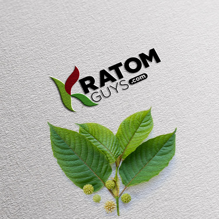 Kratom guys